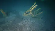 Marmara Depremi'nin yuttuğu enkazlar suyun altında görüntülendi