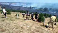 Tekirdağ'da orman yangını paniği