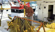 Palamut bereketi kapıda Rumeli Feneri'nde son hazırlıklar tamam