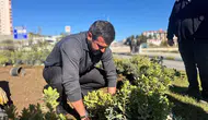 Karabük'te 58 bin ağaç ve çiçek toprakla buluştu 40 bin metrekare yeni yeşil alan