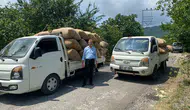 Fındık üreticisine uyarı Acele etmek kazancınızı düşürür