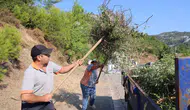 Marmaris Beldibi’nde yangınlara karşı temizlik seferberliği başladı