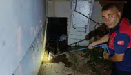 Adıyaman'da bir eve giren yılan ev sahiplerini korkuttu