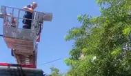 Bitlis'te ağaca takılan kargayı itfaiye ekipleri kurtardı