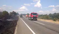 Edirne Meriç'te orman yangını kontrol altına alındı