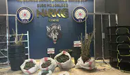 Muğla narkotik ekiplerinden yaz ayları operasyonları