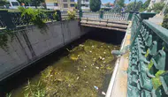 Eskişehir’in kalbi Porsuk Çayı çöplerle doldu