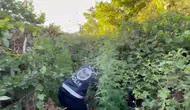 Arnavutköy ormanında dronlu kenevir operasyonu