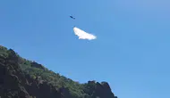 Munzur Vadisi'nde korkutan yangın kontrol altına alındı