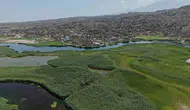 Ağrı Dağı'nın eriyen karları Karasu Sazlığı'nı cennete çevirdi