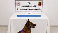 Kayseri jandarmasından zehir tacirlerine ağır darbe