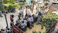 Zileli çiftçiden 20 tonluk karpuz ziyafeti