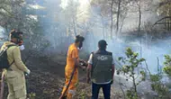 Bolu Göynük ormanlarında yangın paniği