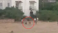 İneğin ipi kurtuldu, sahibiyle kovalamaca başladı