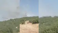 Besni ormanlarında çıkan yangın korkuttu