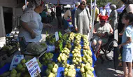 İzmir'de incir şöleni Bardacık üreticisiyle buluştu