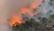 Elazığ Karakoçan ormanlarında gece yarısı yangın paniği