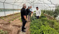 Bayburt'ta dolu vurdu çiftçinin ürünü tarlada kaldı