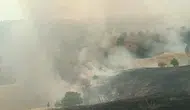 Pütürge’de orman yangını başladı