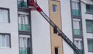 Tokat'ta korkuluklara sıkışan güvercine itfaiye yardımı