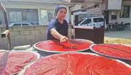 Manisa Sarıgöl’de kışlık salça mesaisi başladı