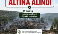 Harmancık'ta korku dolu anlar: Tarım arazisinden ormana sıçradı