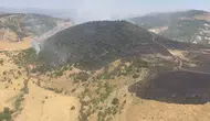 Karakoçan ormanlarını saran alevler ekiplerin müdahalesiyle durduruldu