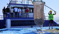 Hatay’ın balığı sofraları Avrupa’da kuruyor