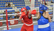 Rize'de ringler şampiyonlara doydu 59 ilden 365 boksör kıyasıya yarıştı