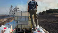 Yangına bir destek de hayvanseverlerden