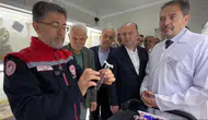 Fındık bahçelerinin yeni koruyucusu samuray arıları iş başında
