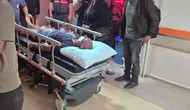 Sivas'ta çobanı köpekleri kurtardı