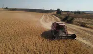 Tekirdağ tarlalarında verimi artıracak nohut hasadı başladı