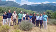 Fethiye’nin şifalı bitkileri sanayiye dönüşüyor