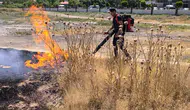 Gevaş’ta hastane yakınındaki yangın paniği büyümeden engellendi