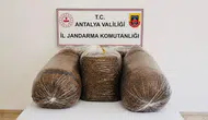 Jandarma iki ilçede kaçak tütün avına çıktı, 365 kilo ele geçti