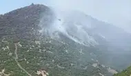 Karakoçan'daki orman yangını kontrol altına alındı