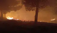 Kurtalan'da mezarlık yangını kısa sürede söndürüldü