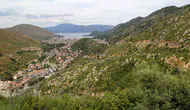 Muğla ormanları beş yıl sonra yeniden yeşillendi