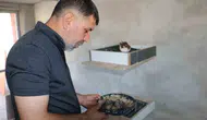 Diyarbakır'ın güvercin oteli yangın küllerinden yeniden doğdu