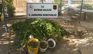 Batman genelinde jandarmadan büyük kaçakçılık operasyonu