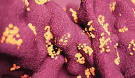 Dijital dünyanın yeni mimarı yapay zeka: Laboratuvar ortamında ilk kez tasarlandı
