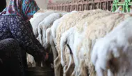 Konya dağlarında geleneksel peynir mesaisi