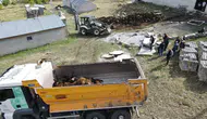 Erzincan'da kabus dolu gece: Ağıla giren ayı 144 hayvanı telef etti