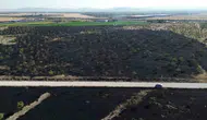 Rüzgar alevleri büyüttü, Konya'da 150 dönüm ormanlık alan yandı