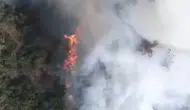 Sındırgı'da kamyon yangını ormana sıçradı