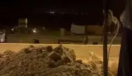 Adıyaman'da köy evlerinin bahçesine çizgili sırtlan girdi