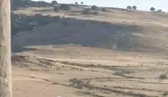 Ergani'de mahsur kalan leylek için enerji ekipleri seferber oldu