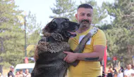 Sivaslı Kangallar podyumda güzelliklerini sergiledi