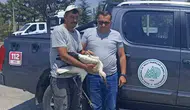 Çöp tesisinde bulunan yaralı leyleğe belediye personeli sahip çıktı